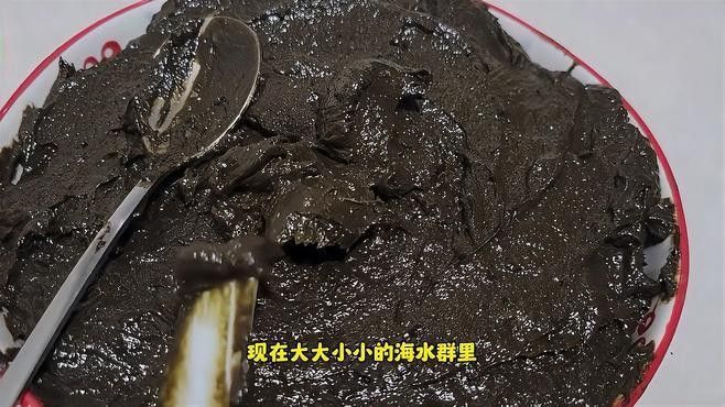 如何挑選健康的飼料魚？