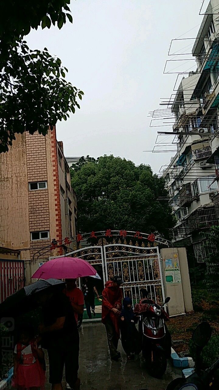 如何聯系上海虹口區小龍魚文苑幼兒園（上海虹口區小龍魚文苑幼兒園如何聯系？）