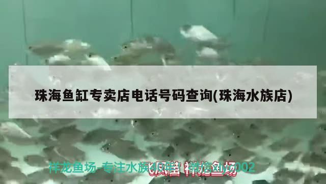珠海魚缸專賣店電話號(hào)碼查詢(珠海水族店)（珠海魚缸專賣店電話號(hào)碼怎么查詢）