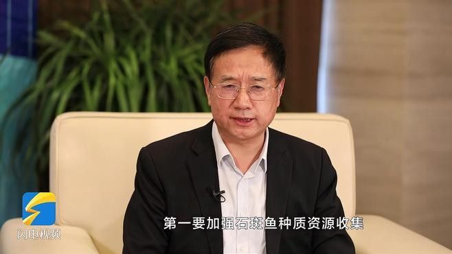 古典藍底和改良型藍底的繁殖差異（古典藍底與改良型藍底在繁殖過程中存在的差異）
