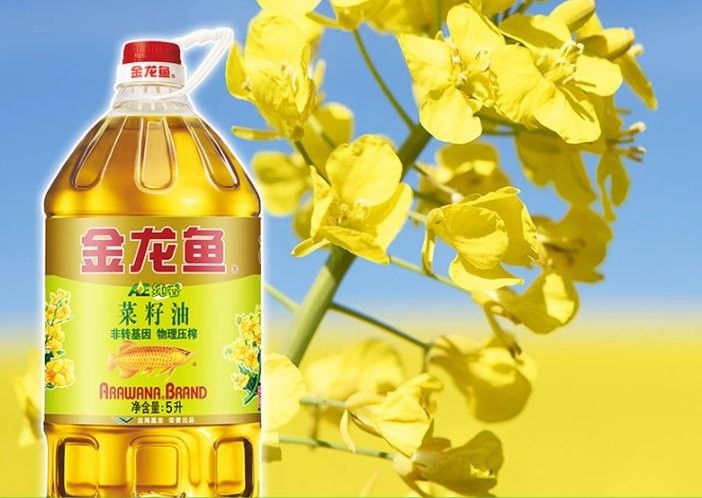 金龍魚和道道全哪個更健康？ 金龍魚和道道全哪個更健康？ 龍魚百科 第3張