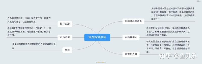 鬼王雷龍魚可以混養嗎（王雷龍魚可以與其他魚類混養嗎雷龍魚混養技巧攻略）