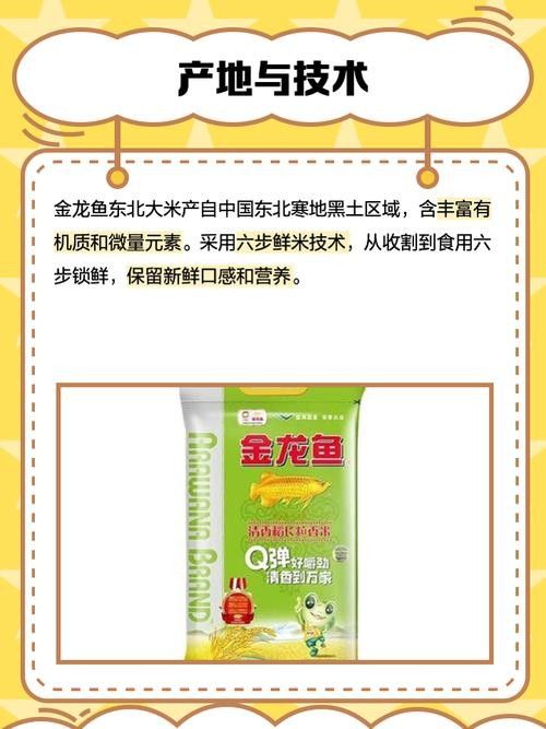 金龍魚雜糧有哪些品種