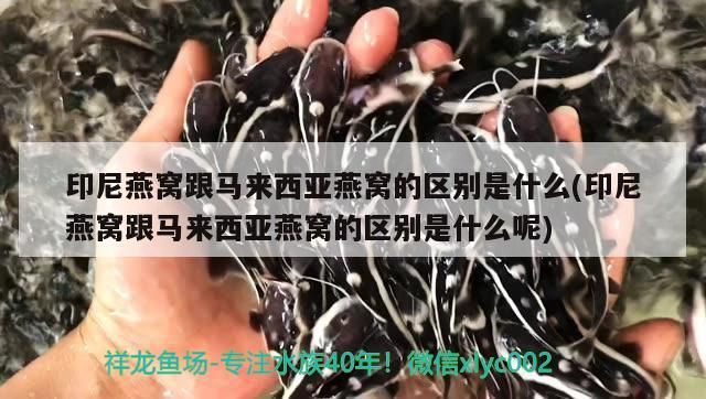 餐后小練兵（吃飽了就是精力好）