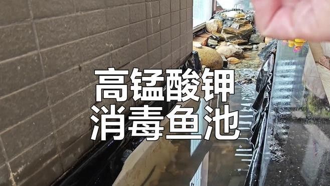 如何清洗和消毒造景石頭