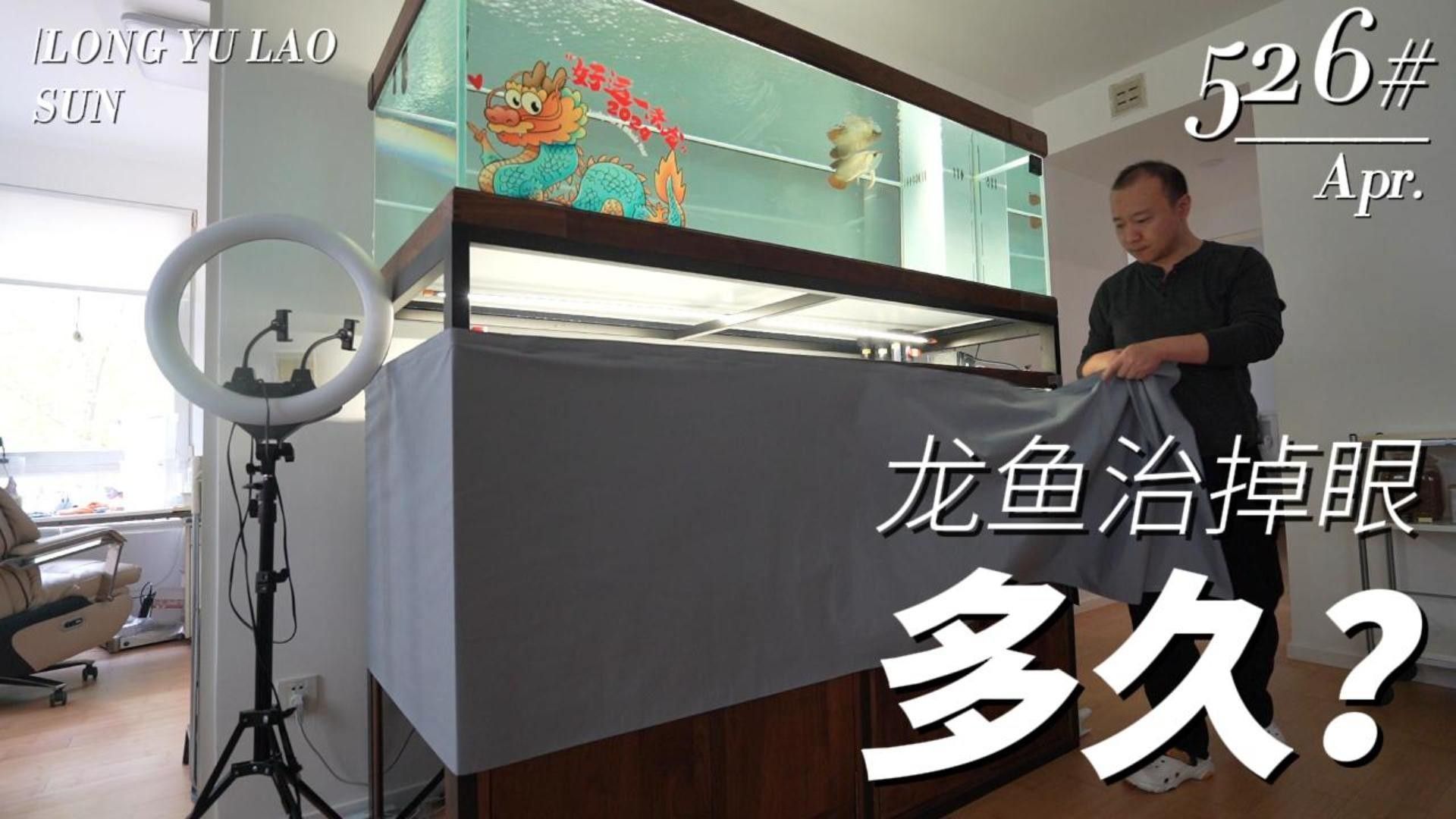 龍魚掉眼恢復(fù)需要多長時間（龍魚掉眼恢復(fù)指南）