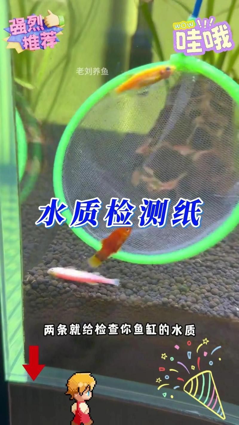 龍魚水質(zhì)檢測試紙推薦（龍魚水質(zhì)檢測試紙）