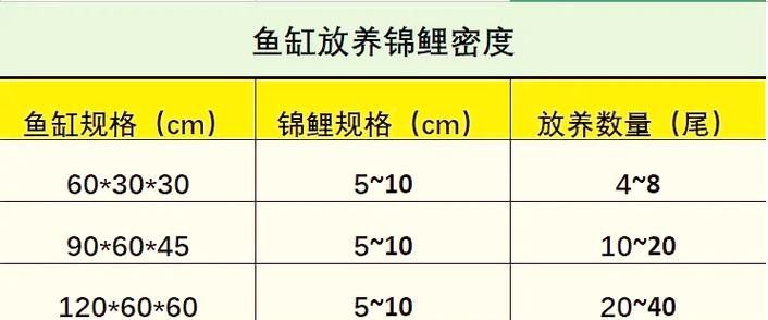 火龍魚(yú)和錦鯉的喂食頻率 火龍魚(yú)和錦鯉的喂食頻率 龍魚(yú)百科 第8張