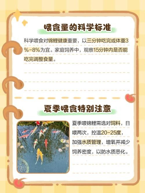 火龍魚(yú)和錦鯉的喂食頻率 火龍魚(yú)和錦鯉的喂食頻率 龍魚(yú)百科 第6張