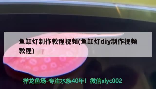 魚缸燈制作教程視頻(魚缸燈diy制作視頻教程)