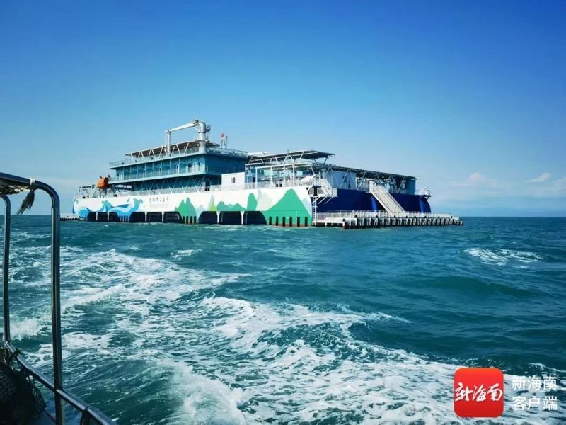 海口龍魚養殖場規模多大？（海口龍魚養殖場主要養殖哪些品種海口龍魚養殖場技術水平如何） 海口龍魚養殖場規模多大？（海口龍魚養殖場主要養殖哪些品種海口龍魚養殖場技術水平如何） 龍魚百科 第1張
