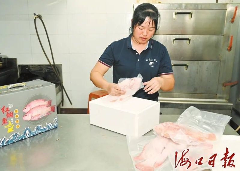 海口龍魚養殖場規模多大？（海口龍魚養殖場主要養殖哪些品種海口龍魚養殖場技術水平如何） 海口龍魚養殖場規模多大？（海口龍魚養殖場主要養殖哪些品種海口龍魚養殖場技術水平如何） 龍魚百科 第3張