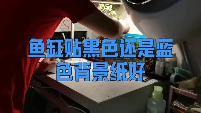 龍魚缸壁紙材質有哪些選擇（常見的龍魚缸壁紙材質及其特點）