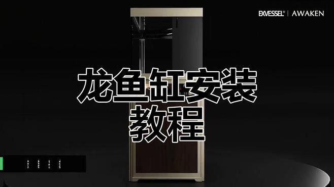 龍魚缸壁紙材質有哪些選擇（常見的龍魚缸壁紙材質及其特點）