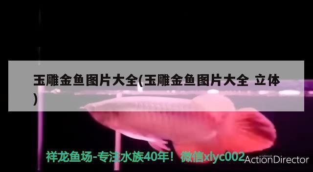 玉雕金魚圖片大全(玉雕金魚圖片大全立體)（玉雕金魚圖片大全）