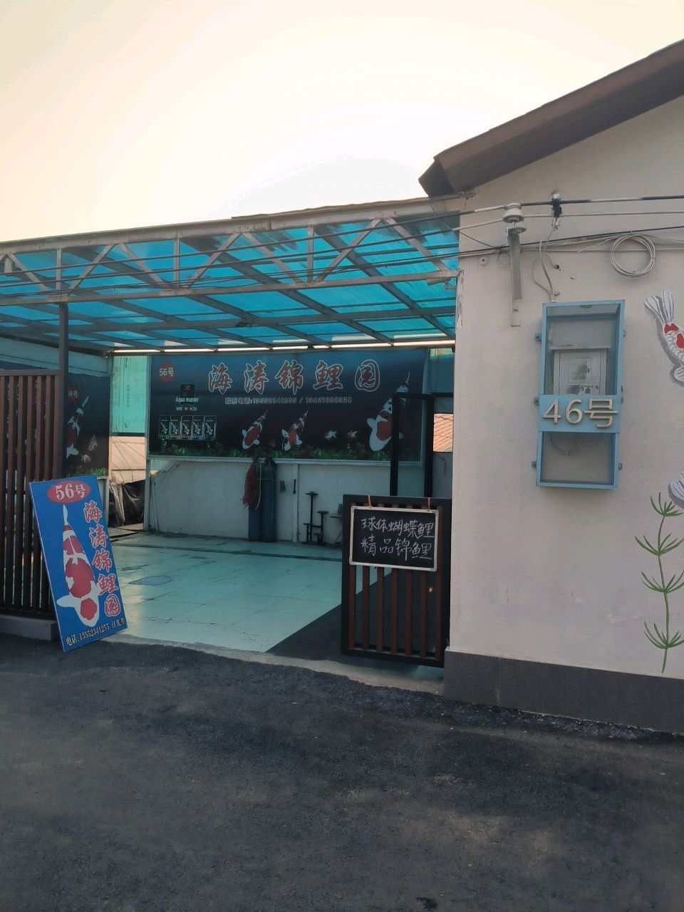 金巴蘭魚市有觀賞魚批發嗎？（巴厘島有哪些知名的觀賞魚店？） 金巴蘭魚市有觀賞魚批發嗎？（巴厘島有哪些知名的觀賞魚店？） 龍魚百科 第1張