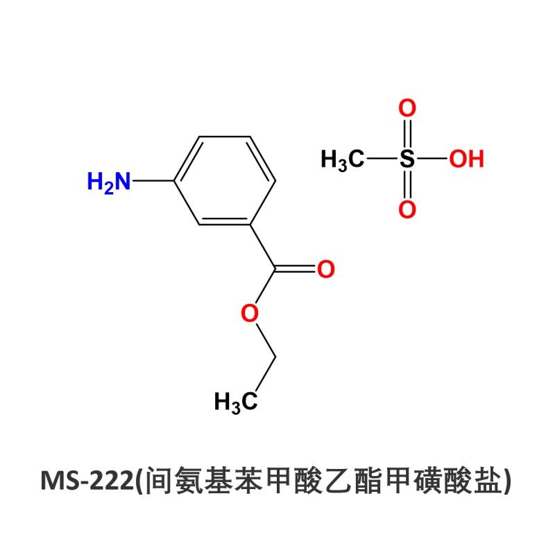 MS-222對(duì)龍魚有哪些副作用？