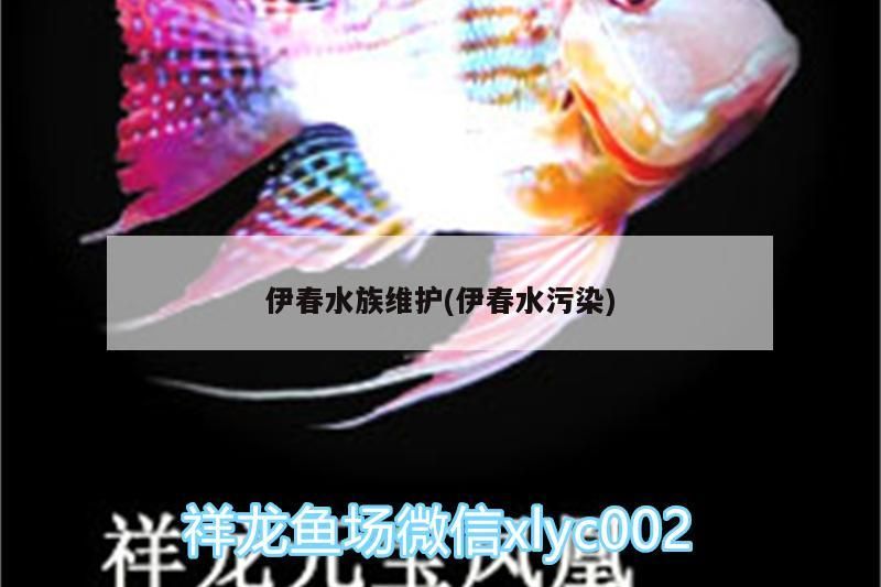<strong><mark>伊春</mark></strong>水族維護(<strong><mark>伊春</mark></strong>水污染)（達氏鰉是什么？）