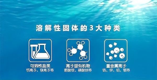 TDS水質檢測筆如何使用（tds水質檢測筆使用方法及注意事項指南） TDS水質檢測筆如何使用（tds水質檢測筆使用方法及注意事項指南） 龍魚百科 第6張
