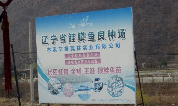 本溪哪個水族館龍魚好？祥龍魚場龍魚（本溪祥龍魚場的具體地址在哪里？）