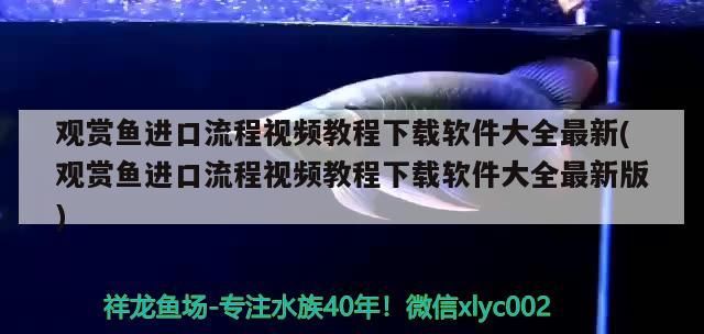 50泰虎換個家（50頭泰虎換個家）