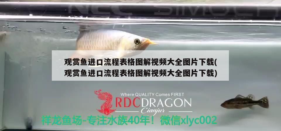 50泰虎換個家（50頭泰虎換個家）