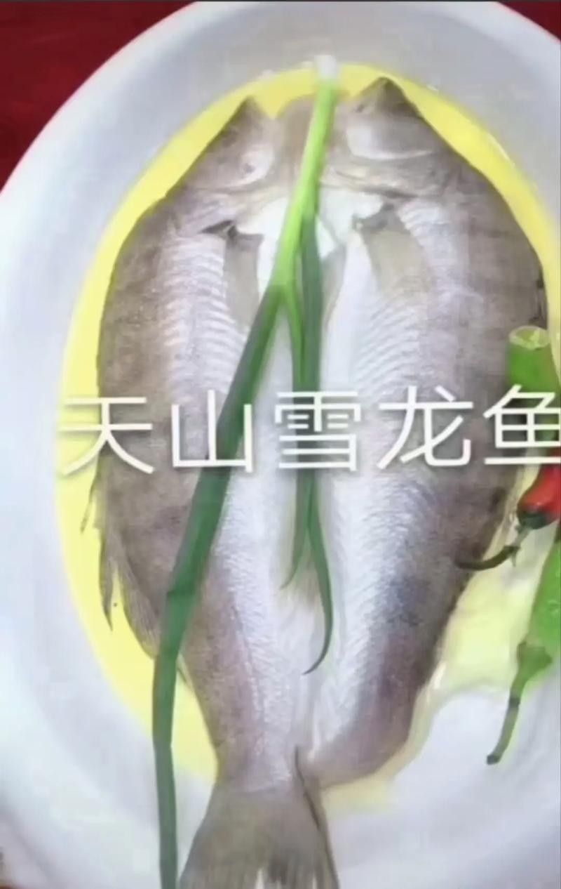 真菌和細菌哪個更容易復發，真菌和細菌的區別