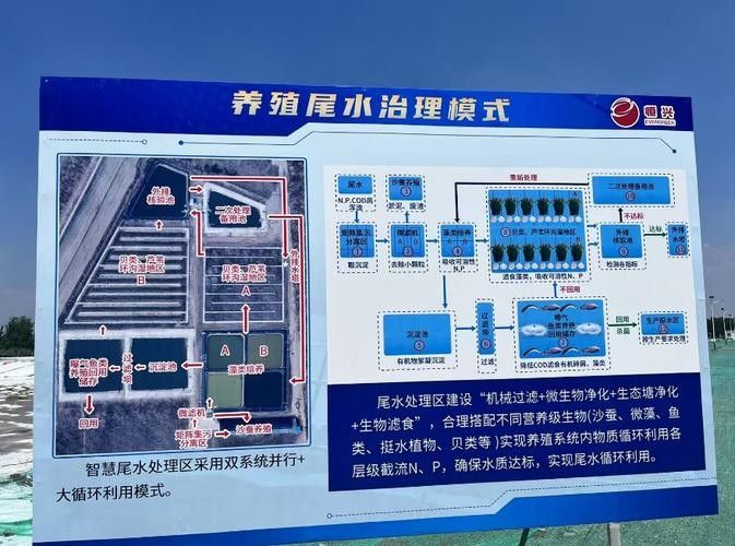 如何聯系到壽光市川佰龍魚養殖中心
