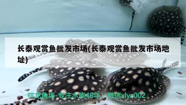 長泰觀賞魚批發(fā)市場(長泰觀賞魚批發(fā)市場地址)（濟(jì)南長泰觀賞魚批發(fā)市場）