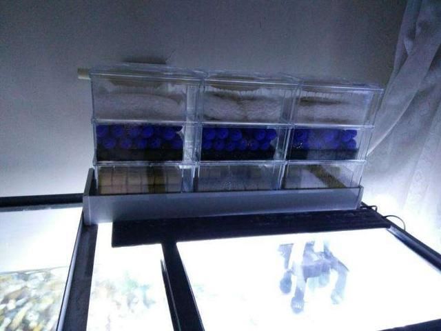 重慶渝北區賣魚缸的地方（重慶渝北區賣魚缸的地方在哪里）（重慶渝北區賣魚缸的幾個地方）