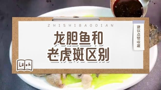 如何判斷虎斑恐龍魚是否準(zhǔn)備好繁殖（判斷虎斑恐龍魚是否準(zhǔn)備好繁殖是養(yǎng)魚愛好者關(guān)心的問(wèn)題） 如何判斷虎斑恐龍魚是否準(zhǔn)備好繁殖（判斷虎斑恐龍魚是否準(zhǔn)備好繁殖是養(yǎng)魚愛好者關(guān)心的問(wèn)題） 龍魚百科 第1張
