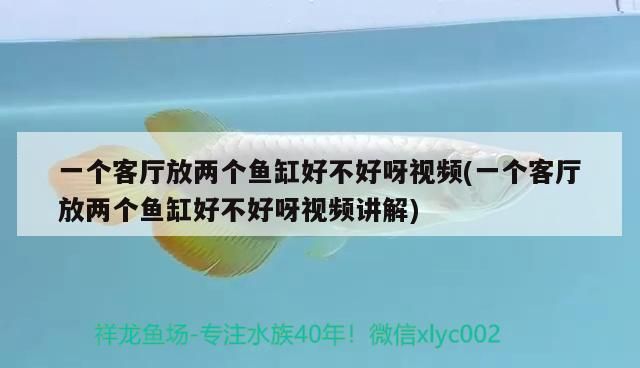 一個客廳放兩個魚缸好不好呀視頻(一個客廳放兩個魚缸好不好呀視頻講解)