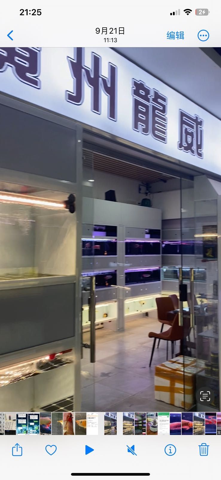 如何聯系花地灣龍魚市場的商戶？（如何找到花地灣龍魚市場商戶）