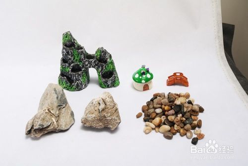 龍魚全圖（龍魚圖鑒）（《龍魚全圖》之龍魚）