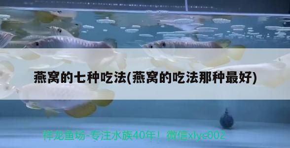 龍魚跳缸是什么原因呢怎么治好視頻（龍魚如何繁殖）（關于龍魚的一些建議） 龍魚跳缸是什么原因呢怎么治好視頻（龍魚如何繁殖）（關于龍魚的一些建議） 觀賞魚百科 第1張