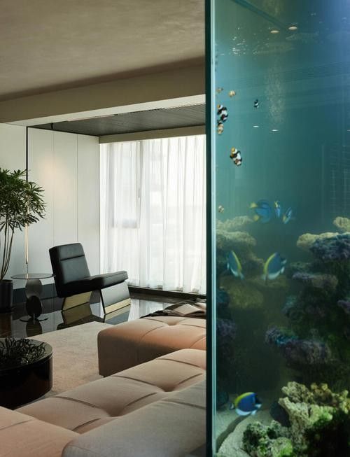 有哪些品牌的水族箱推薦？