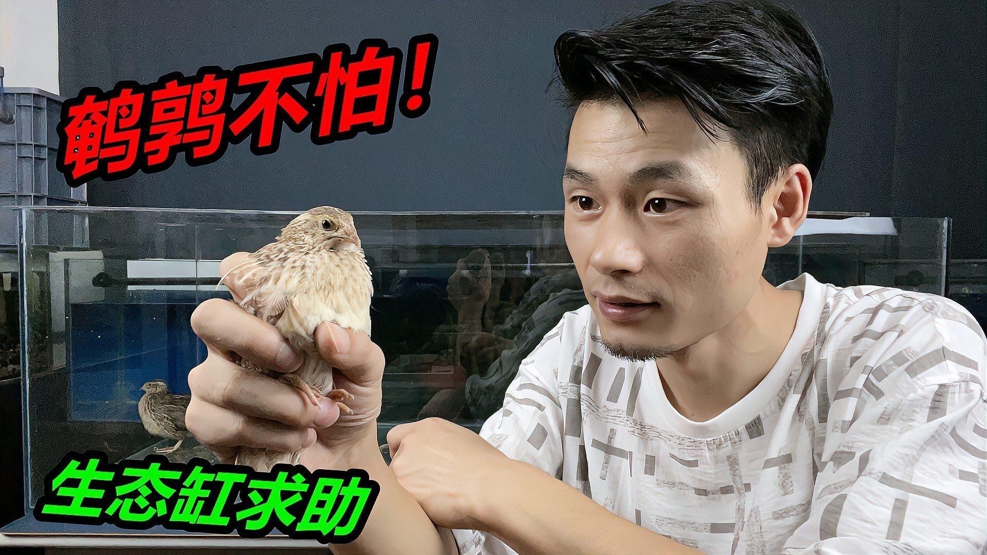 混養初期需要特別注意什么（新手養魚混養初期需要注意的十大禁忌與技巧奶酥愛吃魚缸混養） 混養初期需要特別注意什么（新手養魚混養初期需要注意的十大禁忌與技巧奶酥愛吃魚缸混養） 龍魚百科 第2張