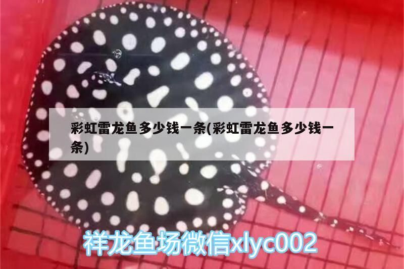 魚缸過濾器能放在水下嗎（下過濾魚缸怎么放水）（魚缸過濾器可以放在水下嗎）