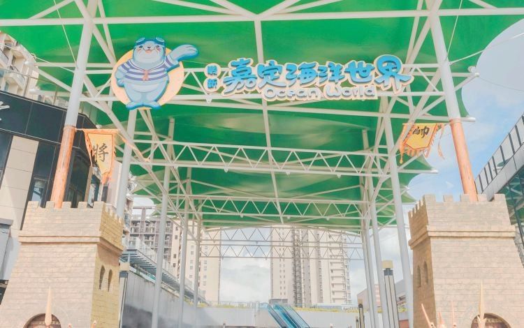 嘉定哪個水族館龍魚好？祥龍魚場龍魚（上海鵬新嘉定海洋世界#遛娃好去處#上海鵬新嘉定海洋館）