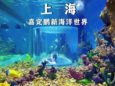 嘉定哪個水族館龍魚好？祥龍魚場龍魚（上海鵬新嘉定海洋世界#遛娃好去處#上海鵬新嘉定海洋館）