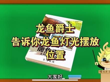 龍魚專用燈的安裝步驟（巴黎街坊志龍魚專用燈安裝全攻略,輕松搞定龍魚照明小團子）