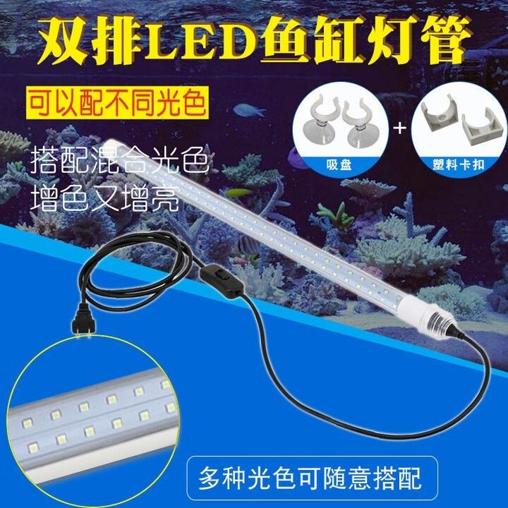 龍魚專用燈的安裝步驟（巴黎街坊志龍魚專用燈安裝全攻略,輕松搞定龍魚照明小團子）