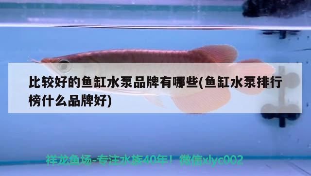 水族燈 比較好的魚缸水泵品牌有哪些(魚缸水泵排行榜什么品牌好)(比較好的魚缸水泵品牌有哪些) 觀賞魚百科 比較好的魚缸水泵品牌有哪些(魚缸水泵排行榜什么品牌好)(比較好的魚缸水泵品牌有哪些) 比較好的魚缸水泵品牌有哪些(魚缸水泵排行榜什么品牌好)(比較好的魚缸水泵品牌有哪些) 觀賞魚百科