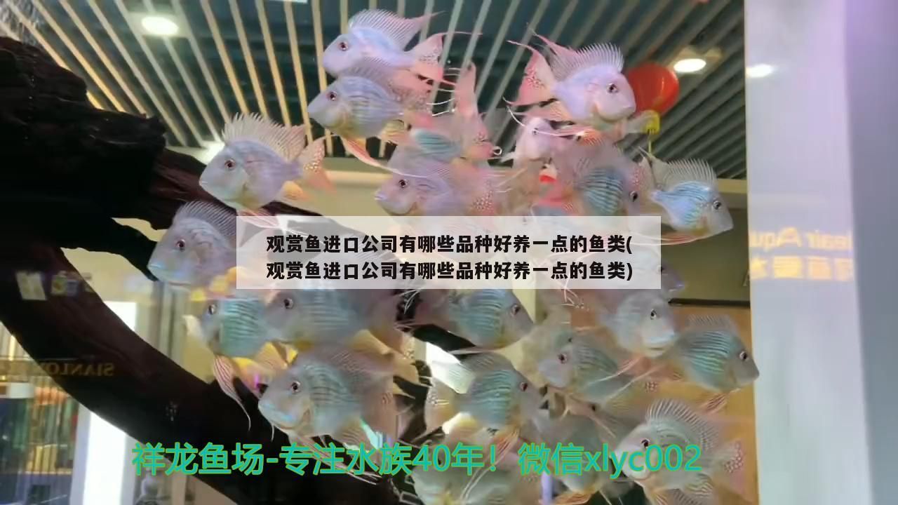 泉州魚缸批發廠家地址在哪里呀（泉州哪里買魚缸）（昆明魚缸批發市場） 泉州魚缸批發廠家地址在哪里呀（泉州哪里買魚缸）（昆明魚缸批發市場） 觀賞魚百科