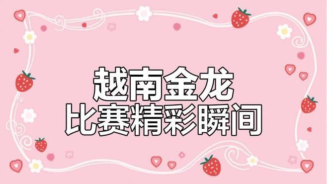 金龍魚高清視頻（金龍魚高清視頻展示了金龍魚的美麗、聰明和生命力）