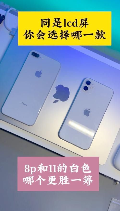 6700K和13000K哪個更護(hù)眼？（6700k和13000k哪個更護(hù)眼） 6700K和13000K哪個更護(hù)眼？（6700k和13000k哪個更護(hù)眼） 龍魚百科 第9張