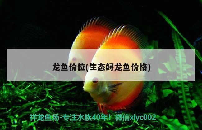 龍魚價(jià)位(生態(tài)鱘龍魚價(jià)格)
