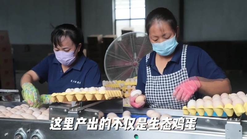 菏澤東明縣養殖基地的投資情況（菏澤東明縣養殖基地的投資現狀、面臨的挑戰以及未來發展趨勢）