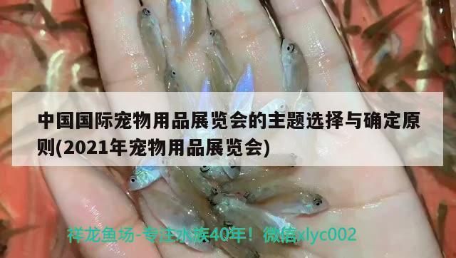 中國國際寵物用品展覽會的主題選擇與確定原則(2021年寵物用品展覽會)