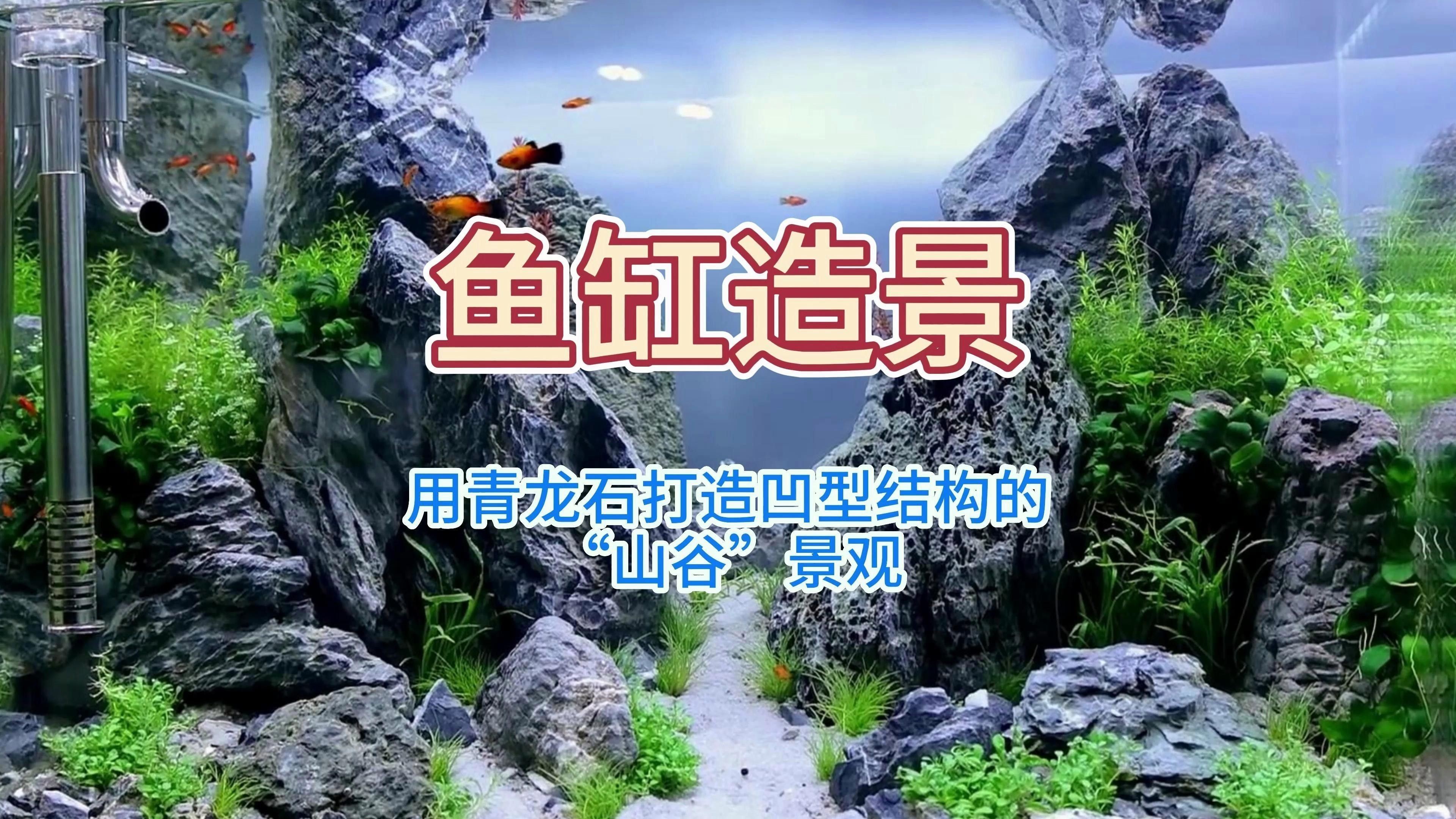 龍魚缸石頭造景有哪些風格（魚缸石頭造景是現代水族裝飾中的一種流行趨勢） 龍魚缸石頭造景有哪些風格（魚缸石頭造景是現代水族裝飾中的一種流行趨勢） 龍魚百科 第1張